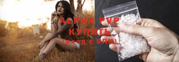 СК Алексин