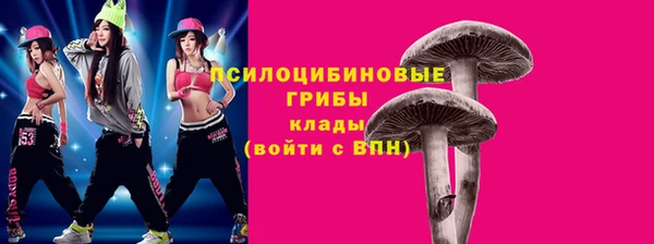 дмт Алзамай