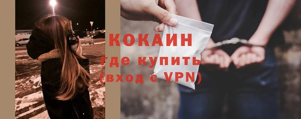 СК Алексин