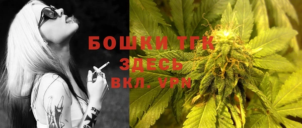 СК Алексин