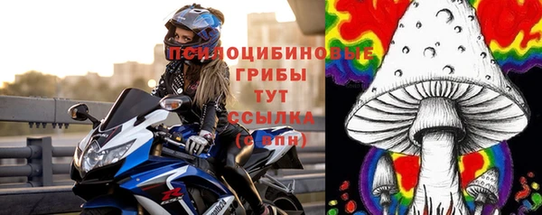дмт Алзамай