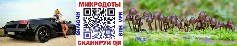 Псилоцибиновые грибы мухоморы  Павловская 